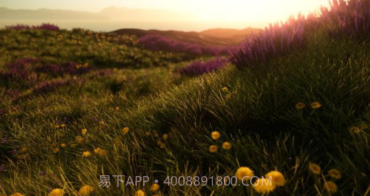 ProjectX大逃杀官网版截图2