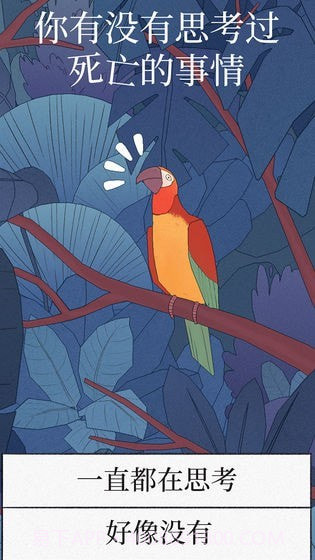 孤独的鸟儿截图4