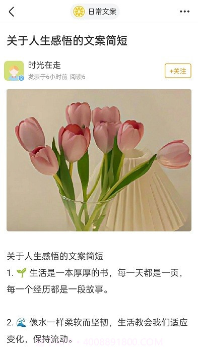 果橙头像壁纸截图1