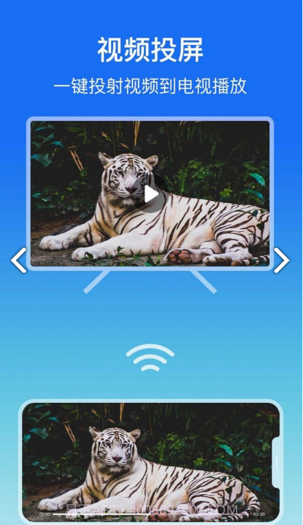 lbtp屏幕镜像官网版截图3