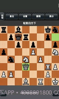 国际象棋下载免费版截图1