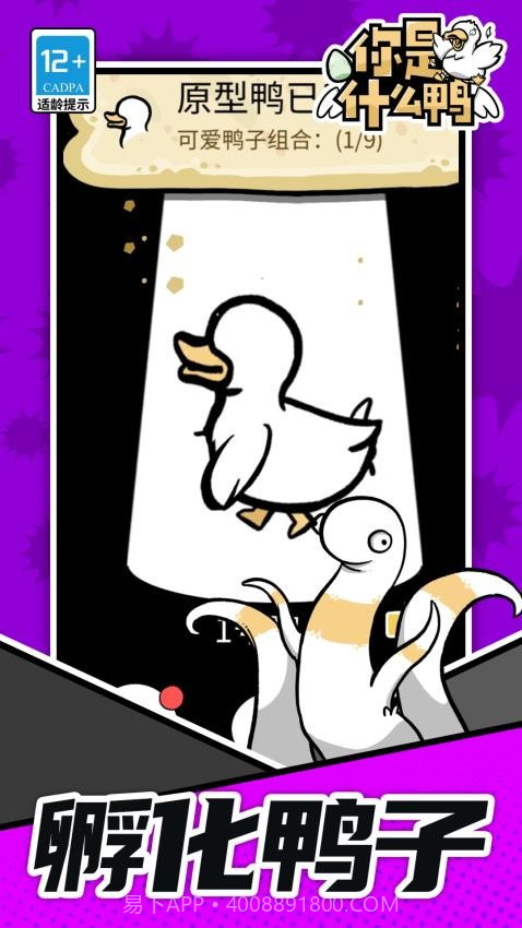 你是什么鸭完整版截图3
