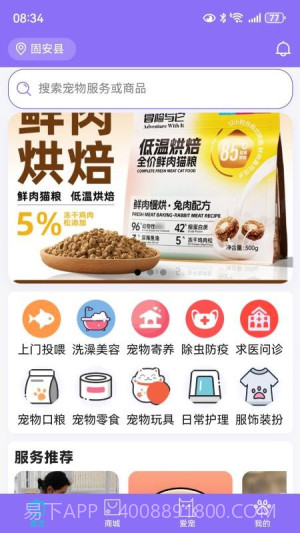 宠星正式版截图2