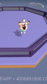 超级摔跤手3D截图3