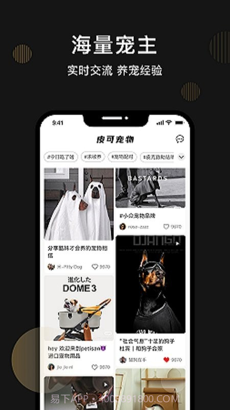 皮可宠物截图3 皮可宠物截图3