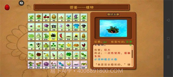 PVZ落寞支线2截图1