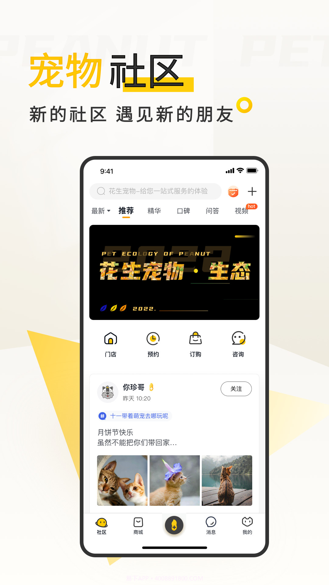 花生宠物截图3 花生宠物截图3