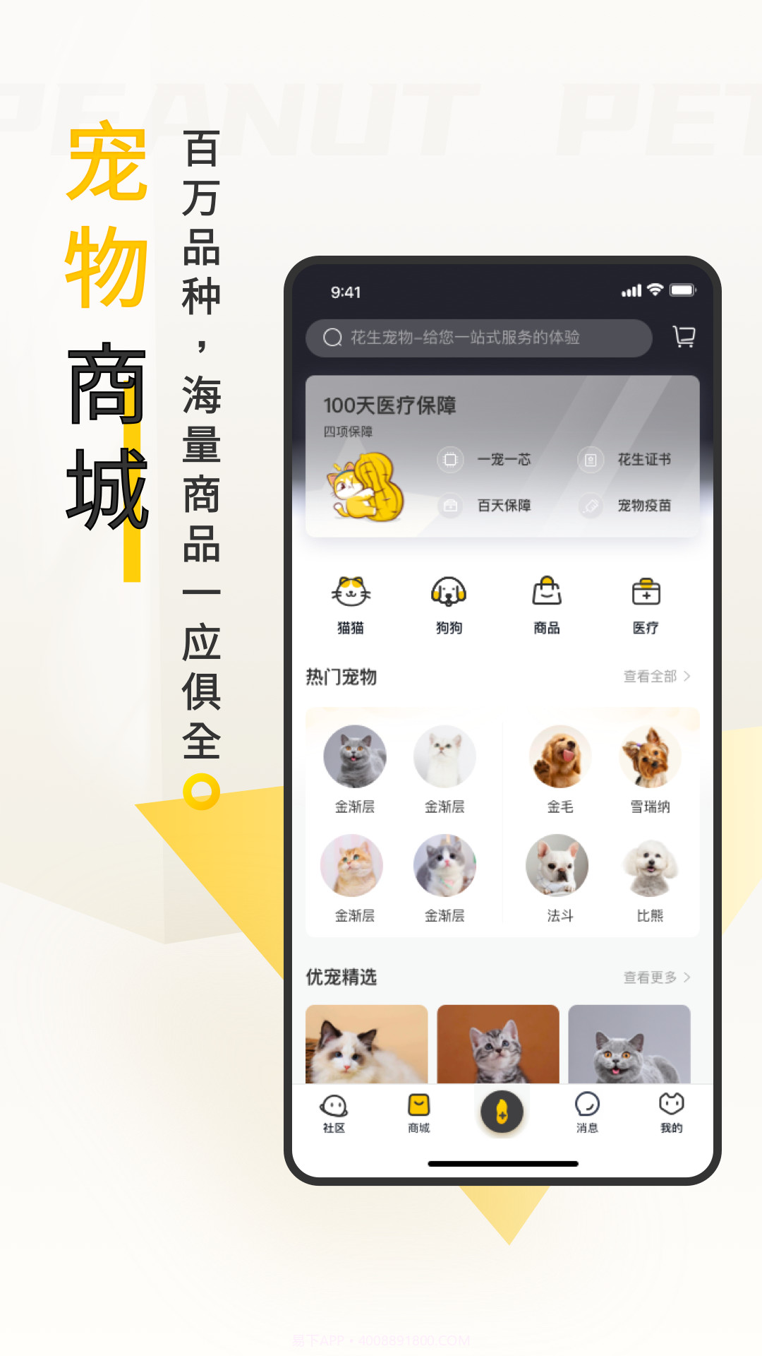 花生宠物截图4 花生宠物截图4