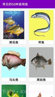 同聚元鱼类烹饪指南截图1 同聚元鱼类烹饪指南截图1