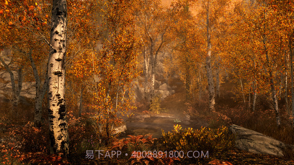 上古卷轴免费版截图4