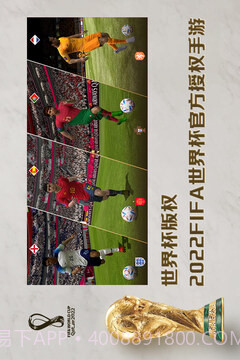 FIFA2003中文版截图1