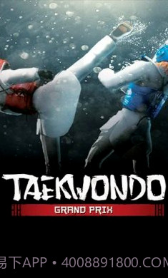 跆拳道大奖赛官方版截图2