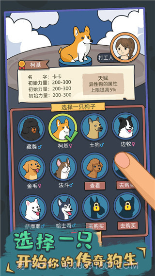 狗生模拟器正版截图2 狗生模拟器正版截图2