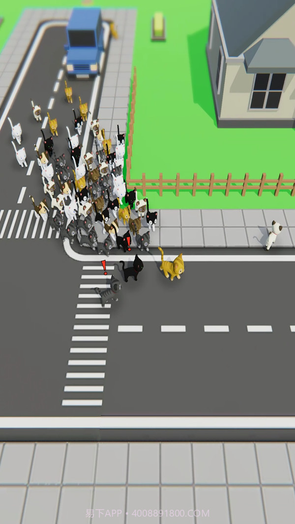 寻找猫咪截图4 寻找猫咪截图4