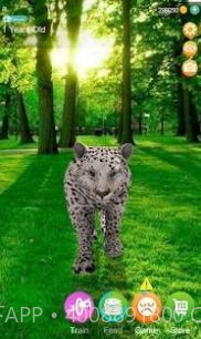 会说话的猎豹截图2