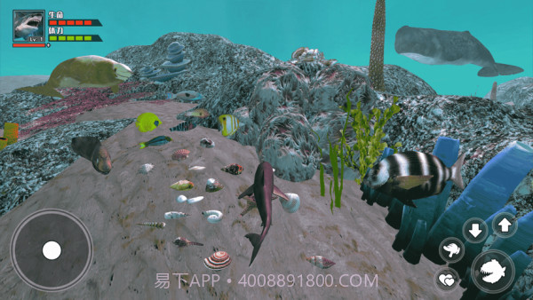 海底大求生截图3 海底大求生截图3