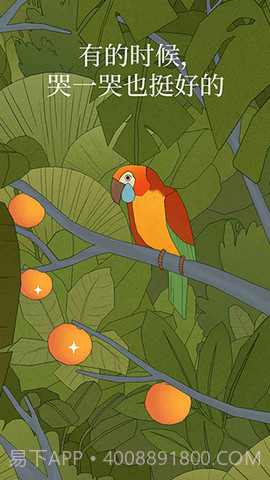 孤独的鸟儿（Bird Alone）截图2