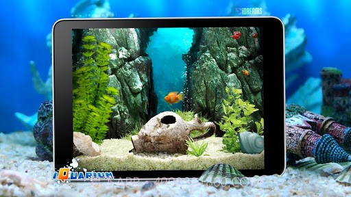 口袋水族馆截图2 口袋水族馆截图2
