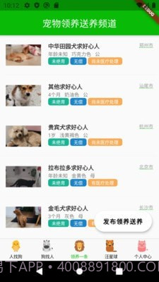 寻狗截图4