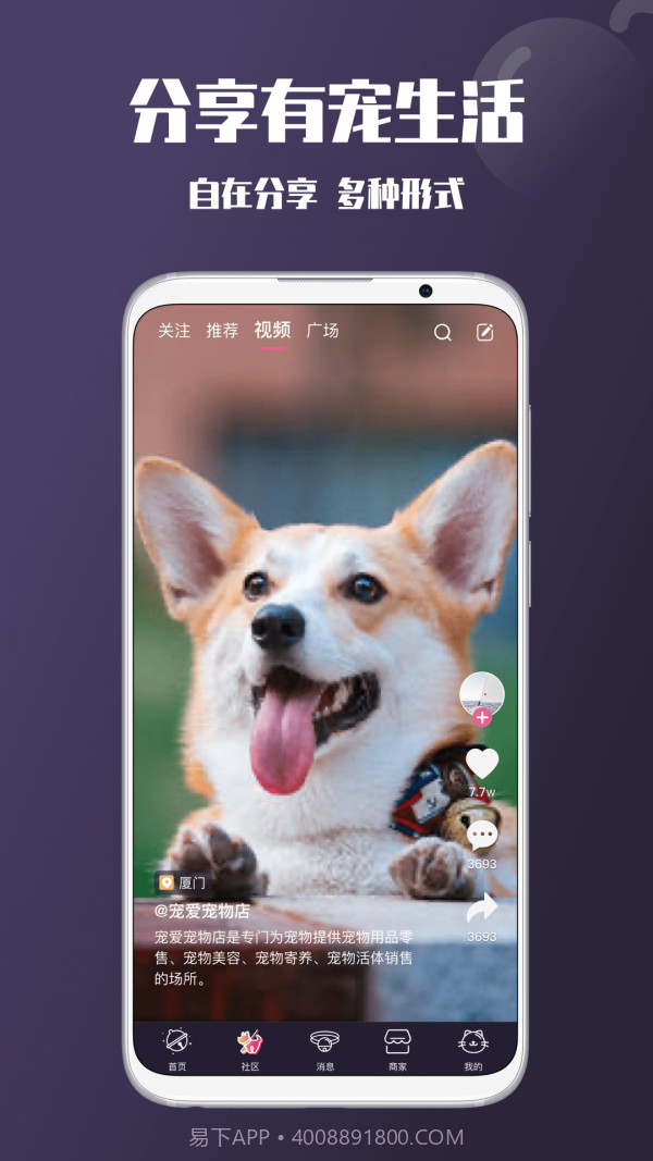 憨憨宠物截图2 憨憨宠物截图2