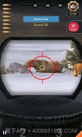 野生鹿猎人截图1