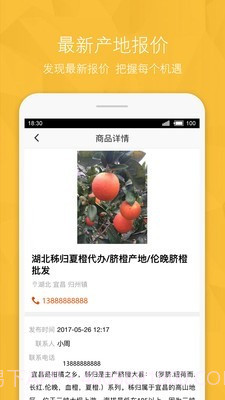 宁夏农产品信息网截图3 宁夏农产品信息网截图3