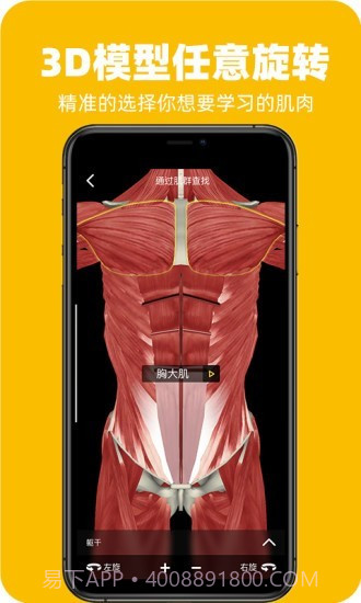 3Dfit(健身运动)截图4