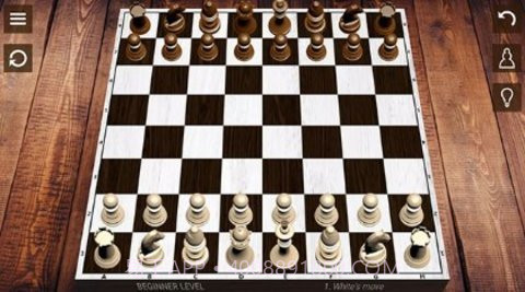 国际象棋(Chess)免费版截图3 国际象棋(Chess)免费版截图3