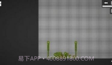 甜瓜游乐场10.0版本截图2