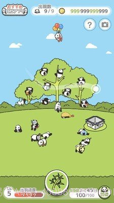 熊猫森林汉化版截图2