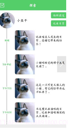 猫咪之家截图3
