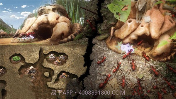 小小蚁窝截图4 小小蚁窝截图4