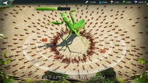 小小蚁窝截图2 小小蚁窝截图2