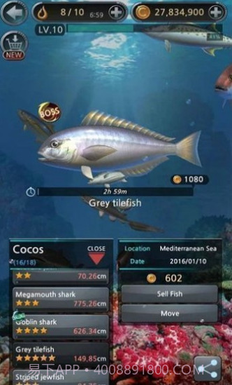 钓鱼胡克中文截图3 钓鱼胡克中文截图3