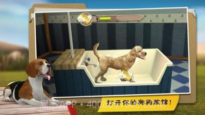 我的寄宿狗截图3