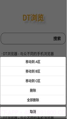 DT浏览器截图3