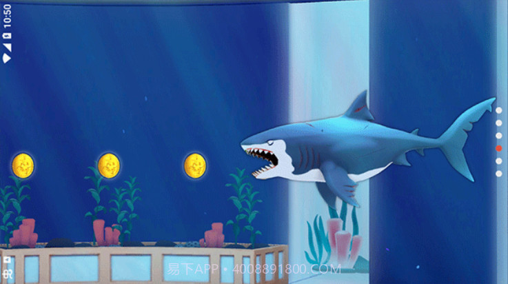 我的鲨鱼秀My Shark Show单机版截图4