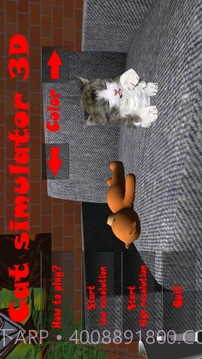 小猫模拟器截图1