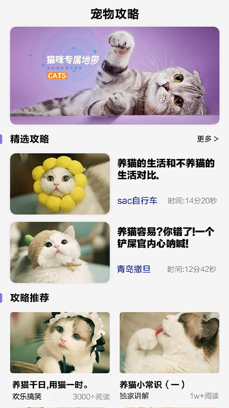 可爱喵喵壁纸大全截图1