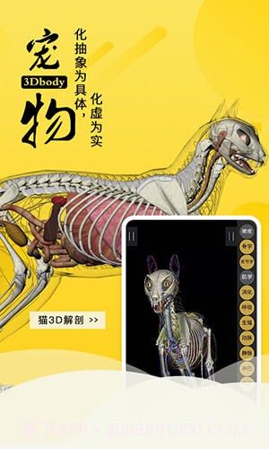 3dbody宠物截图3