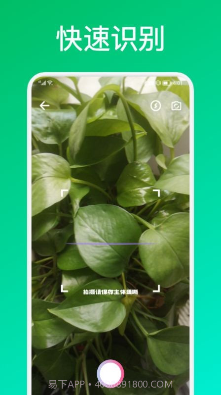 识花君植物识别截图1