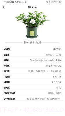 识花神器截图5