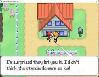 口袋妖怪无限融合5.0中文版截图3