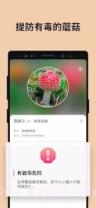 Picture Mushroom蘑菇识别扫一扫截图2